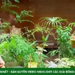 Ảnh sao 1/9: Midu và chồng thiếu gia tận hưởng kỳ nghỉ theo cách giản dị kenhtingame com thumb anh sao 1 9 midu va chong thieu gia tan huong ky nghi theo cach gian di 94331788225132123 940w