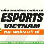 Giới Thiệu Lộ Trình Thi Đấu Thể Thao Điện Tử Đấu Trường Chân Lý Mùa Giải 18 kenhtingame com thumb gioi thieu lo trinh thi dau the thao dien tu dau truong chan ly mua giai 18 f1b01788494097407 940w