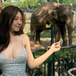 Hot girl Nhi Kiều khoe ảnh đi sở thú, "sợ vỡ, sợ mờ", dân mạng lại phán một câu: Nét căng hết nấc! kenhtingame com thumb hot girl nhi kieu khoe anh di so thu quot so vo so mo quot dan mang lai phan mot cau net cang het nac 77e01788758934253 940w