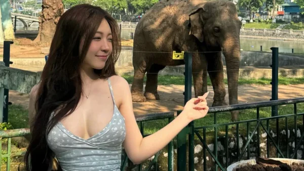 Hot girl Nhi Kiều khoe ảnh đi sở thú, "sợ vỡ, sợ mờ", dân mạng lại phán một câu: Nét căng hết nấc! kenhtingame com thumb hot girl nhi kieu khoe anh di so thu quot so vo so mo quot dan mang lai phan mot cau net cang het nac 77e01788758934253 940w
