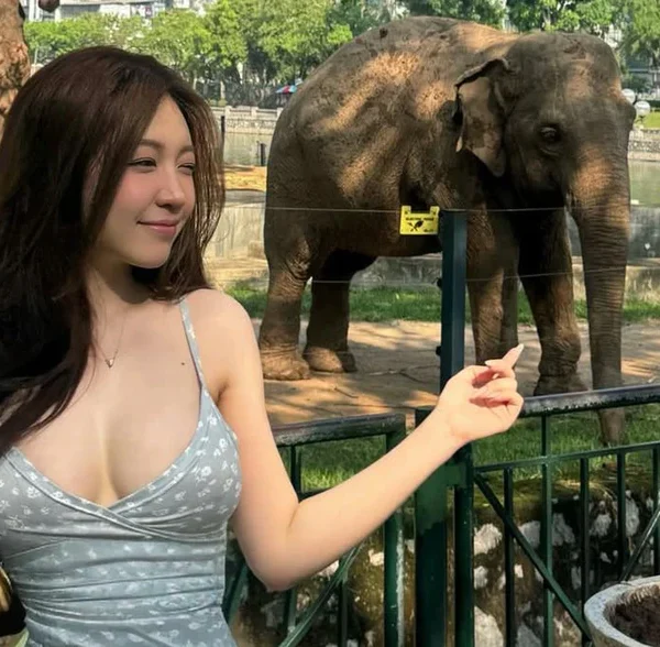 Hot girl Nhi Kiều khoe ảnh đi sở thú, "sợ vỡ, sợ mờ", dân mạng lại phán một câu: Nét căng hết nấc! kenhtingame com thumb hot girl nhi kieu khoe anh di so thu quot so vo so mo quot dan mang lai phan mot cau net cang het nac 77e01788758934253 940w