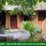 Nhà vườn gần 2.000 m2 của Johnny Trí Nguyễn ở TP HCM kenhtingame com thumb nha vuon gan 2000 m2 cua johnny tri nguyen o tp hcm 66dd1789539418024 940w