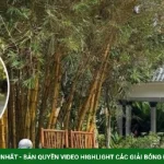 Vân Trang mở rộng khu sinh thái 50.000 m2 ở Đồng Tháp kenhtingame com thumb van trang mo rong khu sinh thai 50000 m2 o dong thap 941e1789604645414 940w