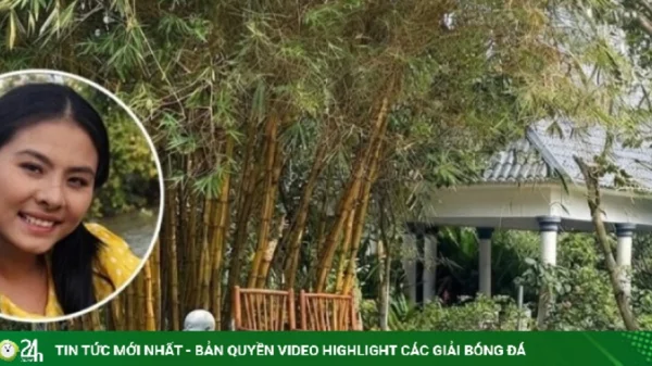 Vân Trang mở rộng khu sinh thái 50.000 m2 ở Đồng Tháp kenhtingame com thumb van trang mo rong khu sinh thai 50000 m2 o dong thap 941e1789604645414 940w