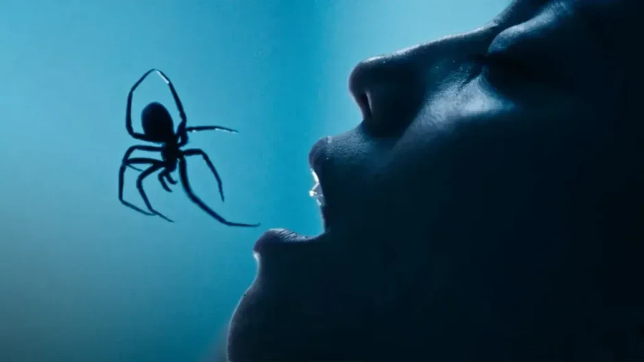 Halloween 2026 xem gì? Top 5 phim kinh dị "nóng" nhất chuẩn bị đốt cháy phòng vé tháng 10