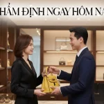 Dịch vụ thu mua túi xách hàng hiệu tận nơi tại Hà Nội của ALLU kenhtingame com thumb dich vu thu mua tui xach hang hieu tan noi tai ha noi cua allu 7db11793148154782 940w