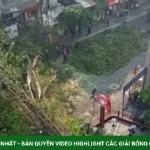 Nam ca sĩ thoát chết trong gang tấc khi cây cổ thụ ở TPHCM đổ sập vào ô tô kenhtingame com thumb nam ca si thoat chet trong gang tac khi cay co thu o tphcm do sap vao o to 5f831791382671104 940w