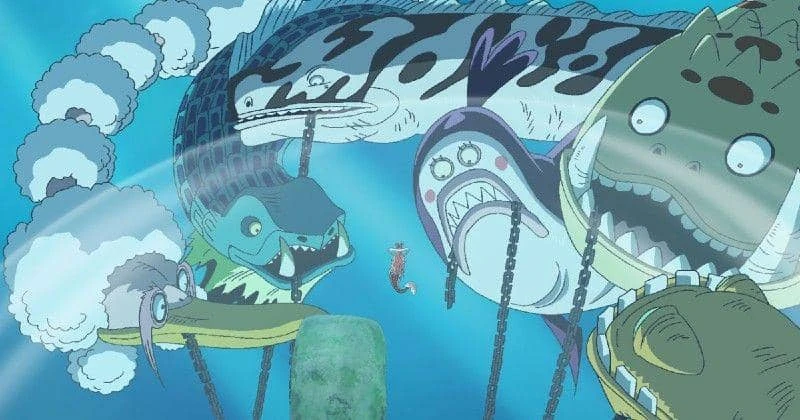 Top 8 điều kỳ lạ và độc đáo nhất về đại dương trong One Piece